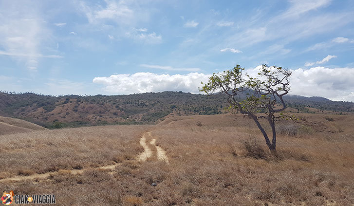 Sentieri a Rinca - Komodo National Park