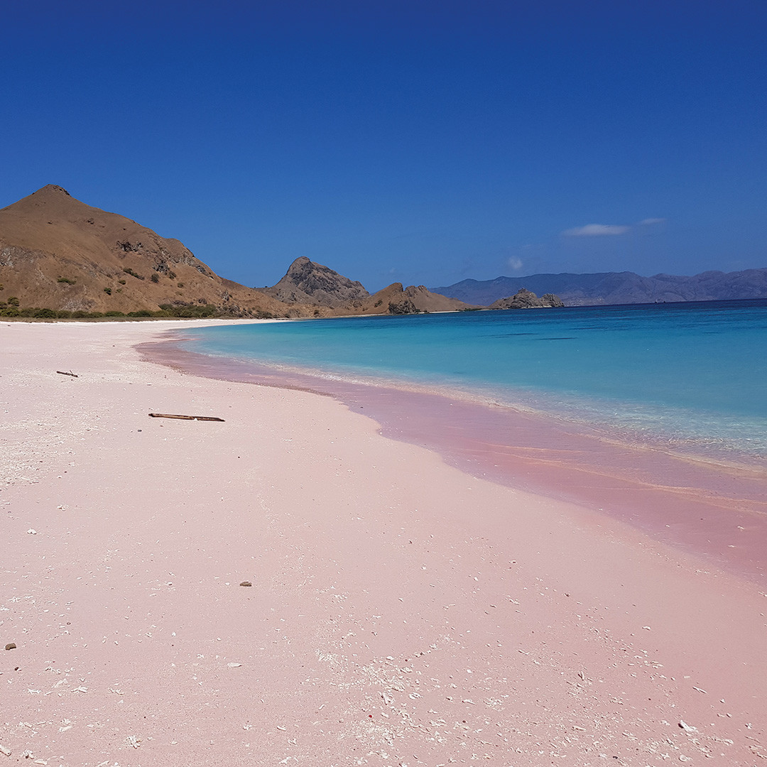 Komodo Indonesia Pink Beach