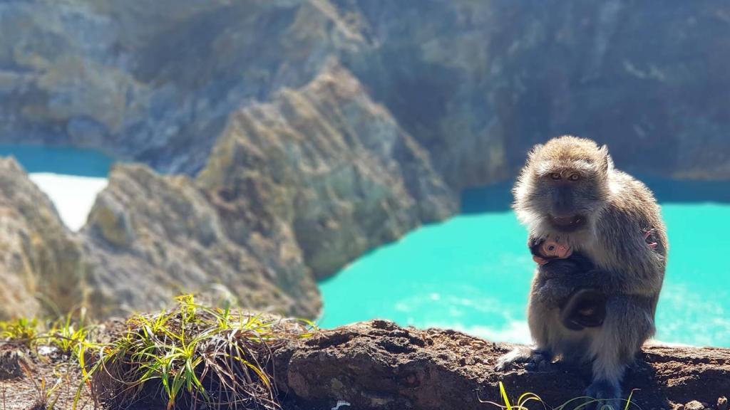 flores kelimutu indonesia