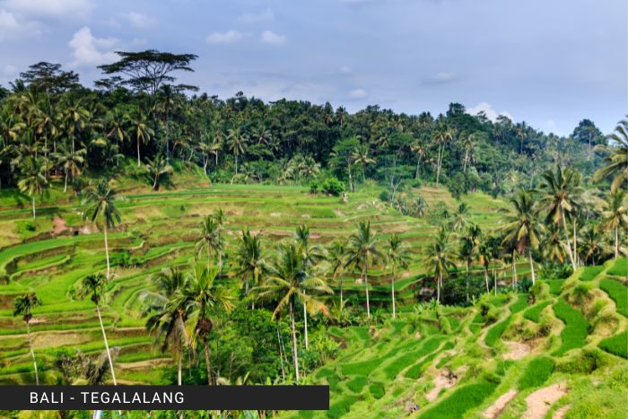 tegalalang bali