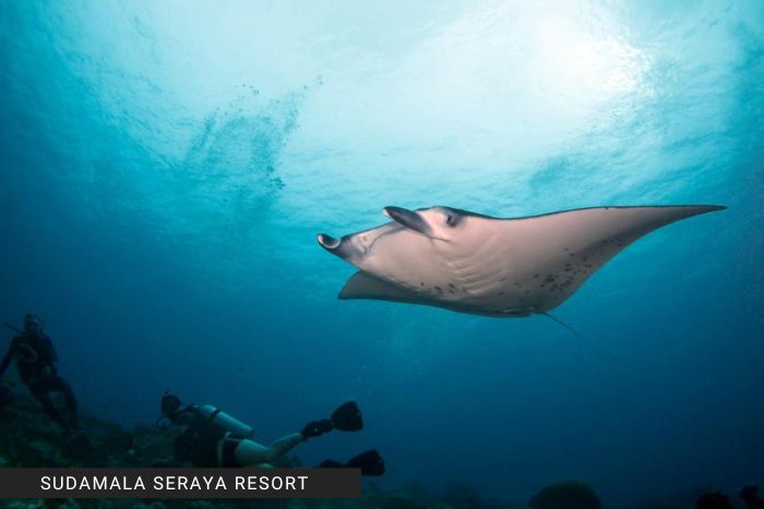sudamala resort - komodo (4)