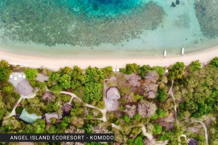 angel island eco resort komodo bidadari