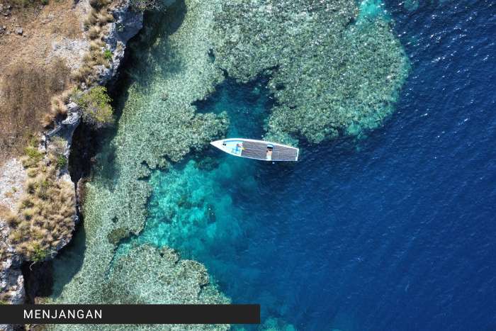 menjangan bali